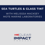 Clear Impact Podcast Clear Impact Podcast